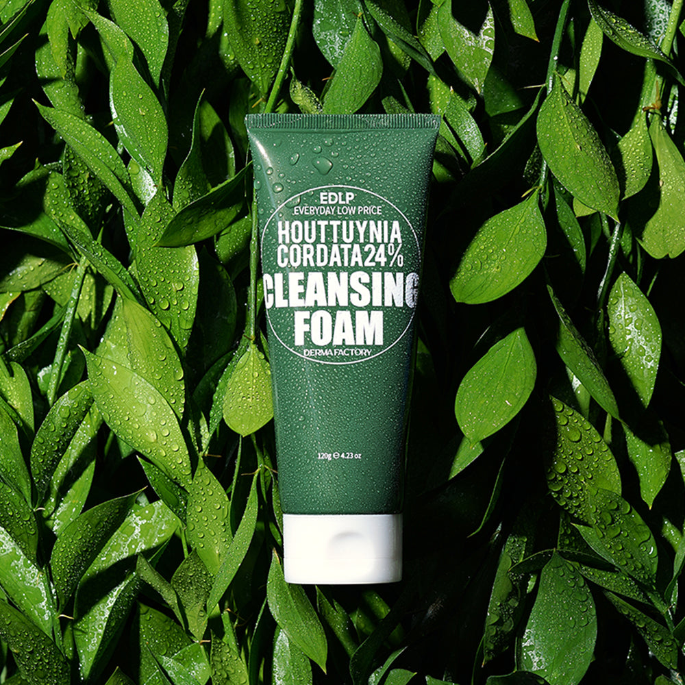 EDLP Heartleaf 24% Cleansing Foam 120g