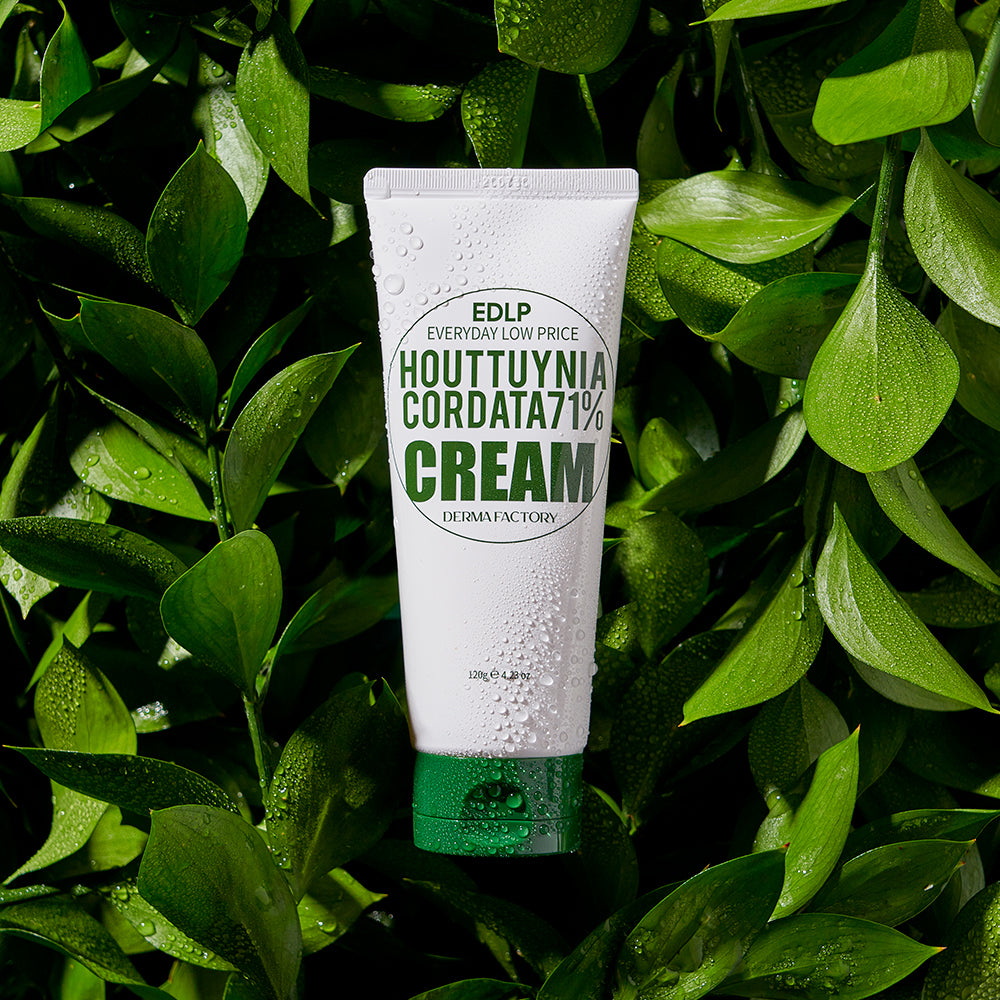 EDLP Heartleaf 71% Moisture Cream 120g
