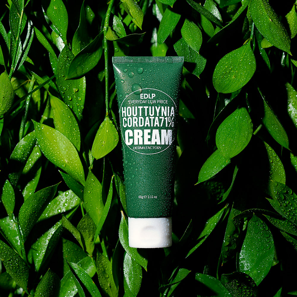 EDLP Heartleaf 71% Moisture Cream 60g
